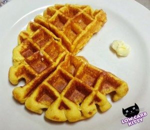 Photo courtesy of http://www.lowcarbkitty.com/recipe/recipe-low-carb-pumpkin-waffles/