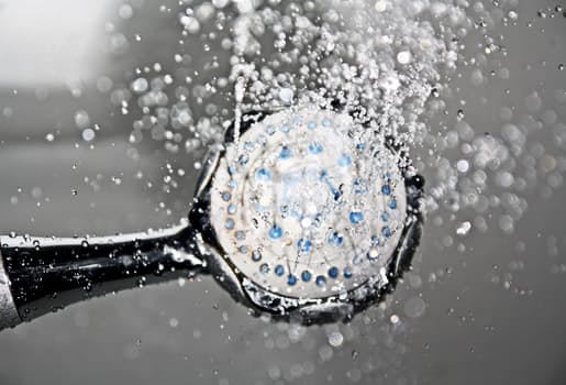dry hair repair shower