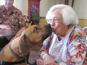 therapy dog kisses woman