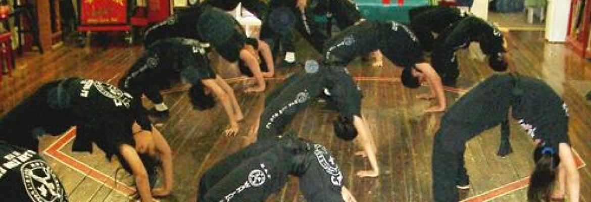 Wah Lum Kung-Fu Athletic Association