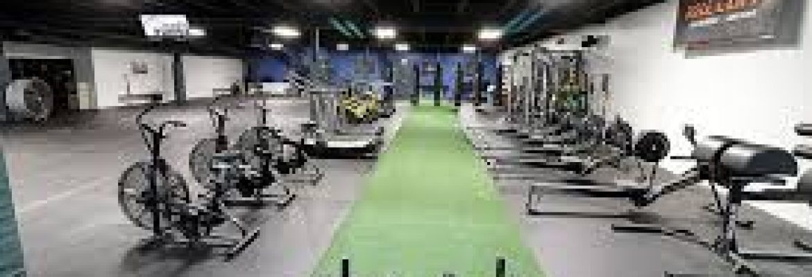 Elite Health and Fitness- Stoughton